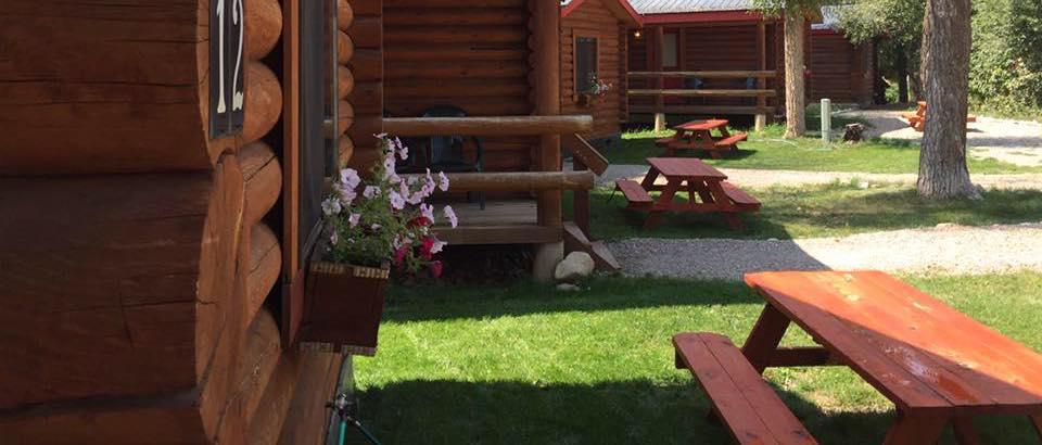 Teton Valley Cabins Driggs Bagian luar foto