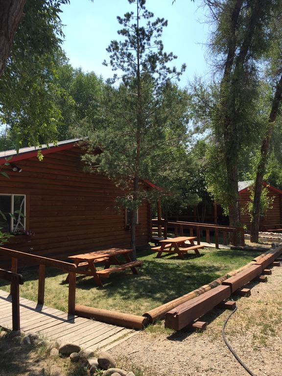 Teton Valley Cabins Driggs Bagian luar foto