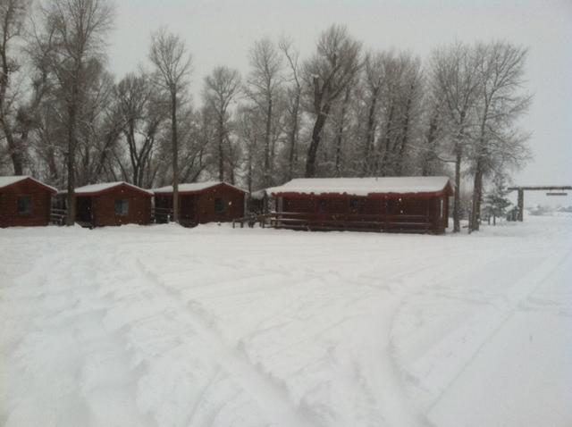 Teton Valley Cabins Driggs Bagian luar foto