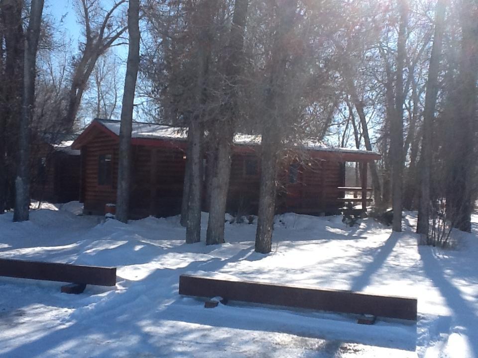 Teton Valley Cabins Driggs Bagian luar foto