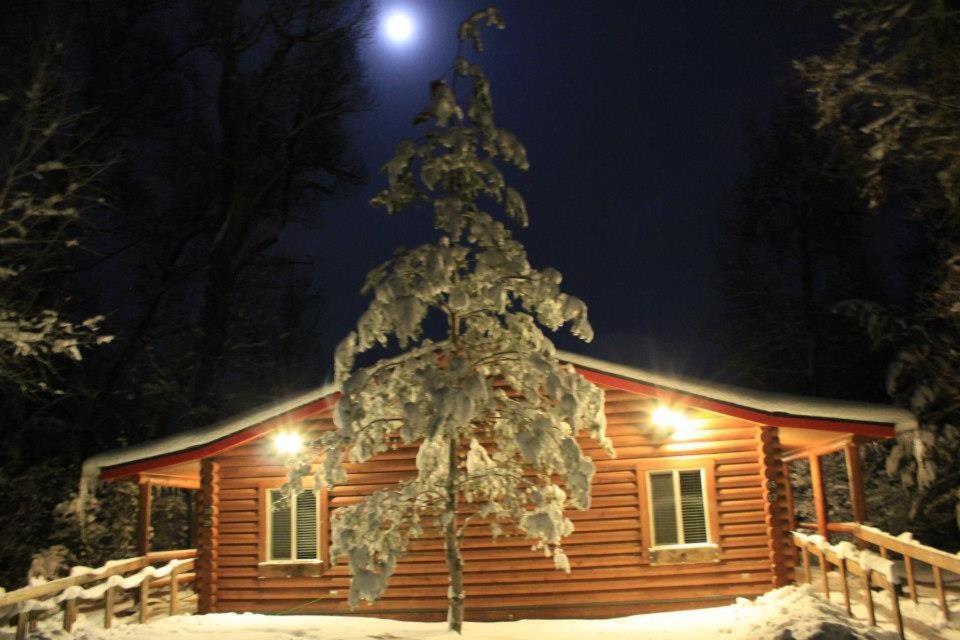 Teton Valley Cabins Driggs Bagian luar foto